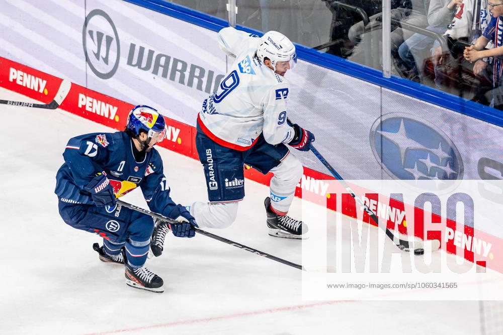 Kampf um den Puck Zweikampf zwischen Taro Hirose (EHC Red Bull Muenchen, 17) und Leon Gawanke (Adler Mannheim, 9). GER, EHC Red Bull Muenchen vs. Adler Mannheim, Eishockey, DEL, Playoffs, Viertelfinale Spiel 6, Saison 2024 2025, 28.03.2025. GER, EHC Red Bull Muenchen vs. Adler Mannheim, Eishockey, DEL, Playoffs, Viertelfinale Spiel 6, Saison 2024 2025, 28.03.2025. Muenchen