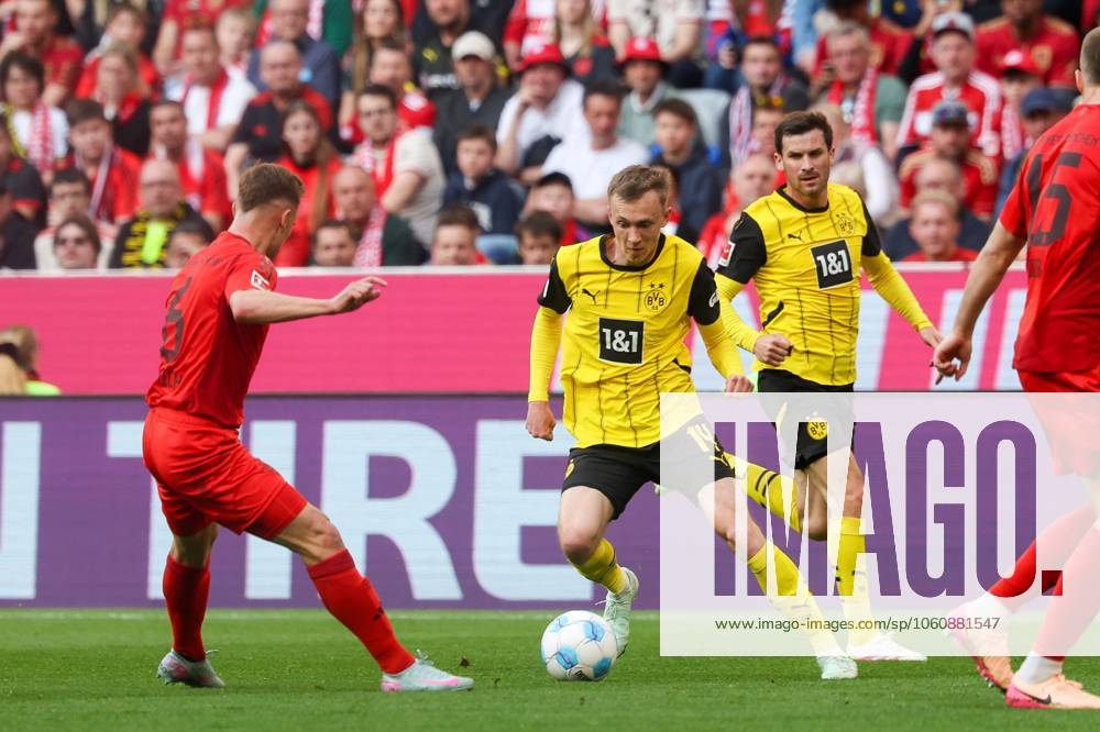 Im Zweikampf, Aktion, mit Joshua Kimmich 6 (FC Bayern Muenchen), Maximilian Beier 14 (Borussia Dortmund), FC Bayern Muenchen vs. Borussia Dortmund, Fussball, 1. Bundesliga, 29. Spieltag, 12.04.2025 DFB regulations prohibit any use of photographs as image sequences and or quasi-video Muenchen Bayern Deutschland