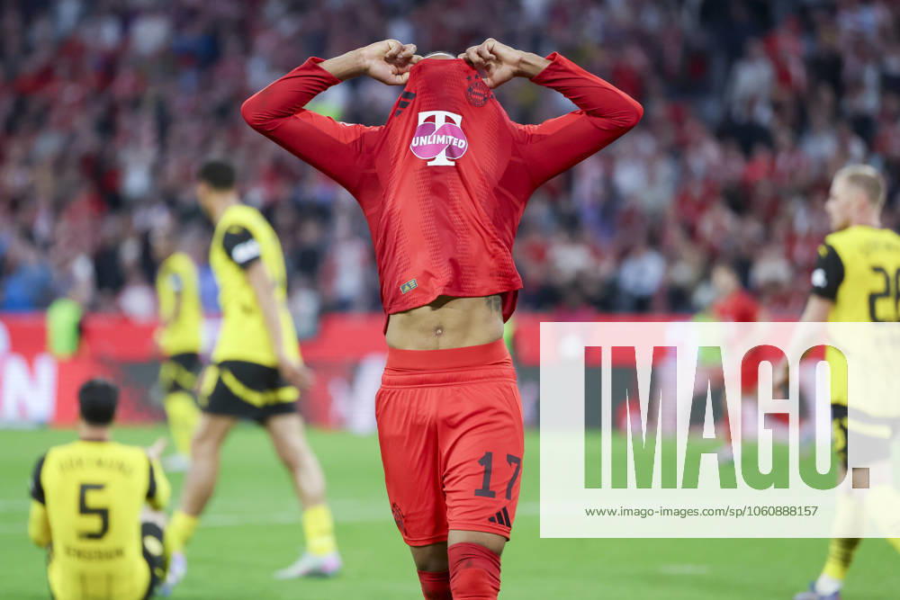 Michael Olise (FC Bayern Muenchen) schaut enttaeuscht, Bundesliga, FC Bayern München v Borussia Dortmund, Allianz Arena am 12. April 2025 in München, Deutschland. (Foto von Marco Steinbrenner DeFodi Images) Michael Olise (FC Bayern Muenchen) looks dejected, Bundesliga, FC Bayern München v Borussia Dortmund, Allianz Arena, April 12, 2025 in Munich, Germany. (Photo by Marco Steinbrenner DeFodi Images) DFL regulations prohibit any use of photographs as image sequences and or quasi-video.