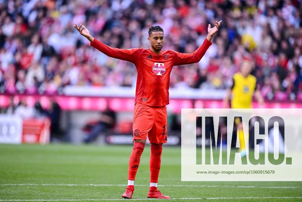 Michael Olise (FC Bayern Muenchen) gestikuliert, gestik waehrend des Spiels der 1. Bundesliga zwischen FC Bayern München und Borussia Dortmund, Allianz Arena am 12. April 2025 in München, Deutschland. (Foto von Harry Langer DeFodi Images) +++ Michael Olise (FC Bayern Muenchen) gestures during the Bundesliga match between FC Bayern München and Borussia Dortmund at Allianz Arena on April 12, 2025 in Munich, Germany. (Photo by Harry Langer DeFodi Images) DFL regulations prohibit any use of photographs as image sequences and or quasi-video. (Photo by Harry Langer DeFodi Images) DFL regulations prohibit any use of photographs as image sequences and or quasi-video.
