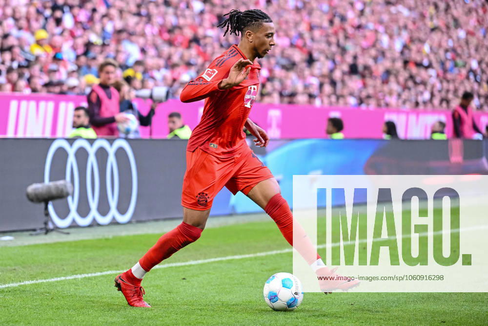 Michael Olise (FC Bayern Muenchen) in Aktion, am Ball, Einzelaktion waehrend des Spiels der 1. Bundesliga zwischen FC Bayern München und Borussia Dortmund, Allianz Arena am 12. April 2025 in München, Deutschland. (Foto von Harry Langer DeFodi Images) +++ Michael Olise (FC Bayern Muenchen) controls the Ball during the Bundesliga match between FC Bayern München and Borussia Dortmund at Allianz Arena on April 12, 2025 in Munich, Germany. (Photo by Harry Langer DeFodi Images) DFL regulations prohibit any use of photographs as image sequences and or quasi-video. (Photo by Harry Langer DeFodi Images) DFL regulations prohibit any use of photographs as image sequences and or quasi-video.