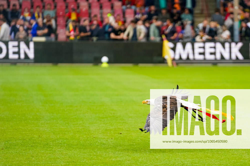 Eredivisie: Go Ahead Eagles v Sparta Rotterdam Deventer - Harly, the white-headed sea eagle mascott of Go Ahead Eagles during the third round of the 2025 2026 Eredivisie season. The match is set between Go Ahead Eagles and Sparta Rotterdam at De Adelaarshorst on 23 August 2025 in Deventer, The Netherlands. (VK Sportphoto Danny de Groot)