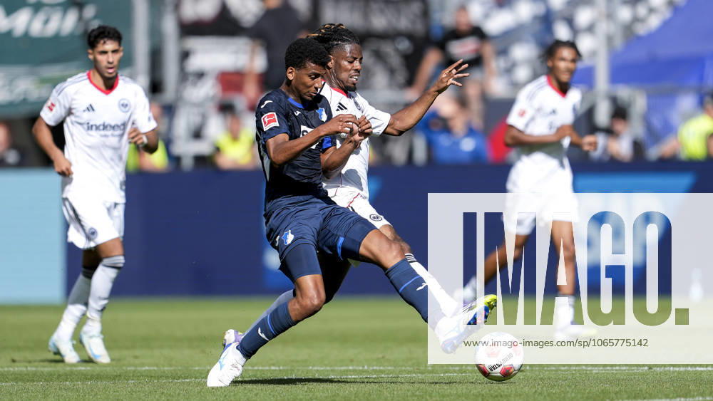 V.li.: Bernardo Fernandes da Silva Junior (Hoffenheim, 13), Elye Wahi (SGE, 17), Zweikampf, Spielszene, Duell, duel, tackle, tackling, Dynamik, Action, Aktion, 30.08.2025, Sinsheim (Deutschland), Fussball, Bundesliga, TSG 1899 Hoffenheim - Eintracht Frankfurt, DFB DFL REGULATIONS PROHIBIT ANY USE OF PHOTOGRAPHS AS IMAGE SEQUENCES AND OR QUASI-VIDEO.