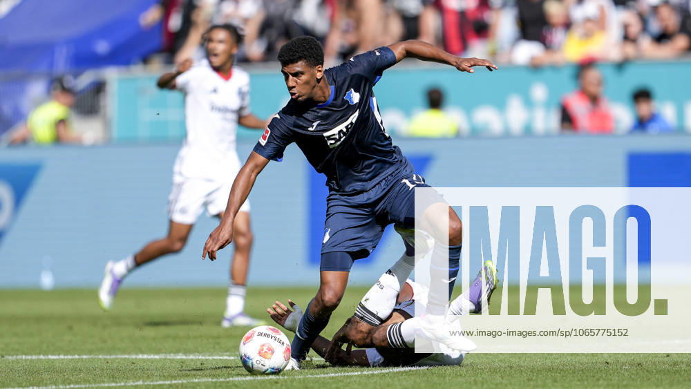 V.li.: Bernardo Fernandes da Silva Junior (Hoffenheim, 13), Elye Wahi (SGE, 17), Zweikampf, Spielszene, Duell, duel, tackle, tackling, Dynamik, Action, Aktion, 30.08.2025, Sinsheim (Deutschland), Fussball, Bundesliga, TSG 1899 Hoffenheim - Eintracht Frankfurt, DFB DFL REGULATIONS PROHIBIT ANY USE OF PHOTOGRAPHS AS IMAGE SEQUENCES AND OR QUASI-VIDEO.