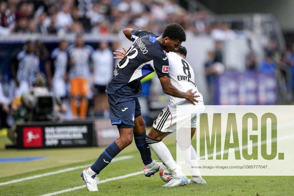 V.li.: Bernardo Fernandes da Silva Junior (Hoffenheim, 13), Fares Chaibi (SGE, 8), Zweikampf, Spielszene, Duell, duel, tackle, tackling, Dynamik, Action, Aktion, 30.08.2025, Sinsheim (Deutschland), Fussball, Bundesliga, TSG 1899 Hoffenheim - Eintracht Frankfurt, DFB DFL REGULATIONS PROHIBIT ANY USE OF PHOTOGRAPHS AS IMAGE SEQUENCES AND OR QUASI-VIDEO.