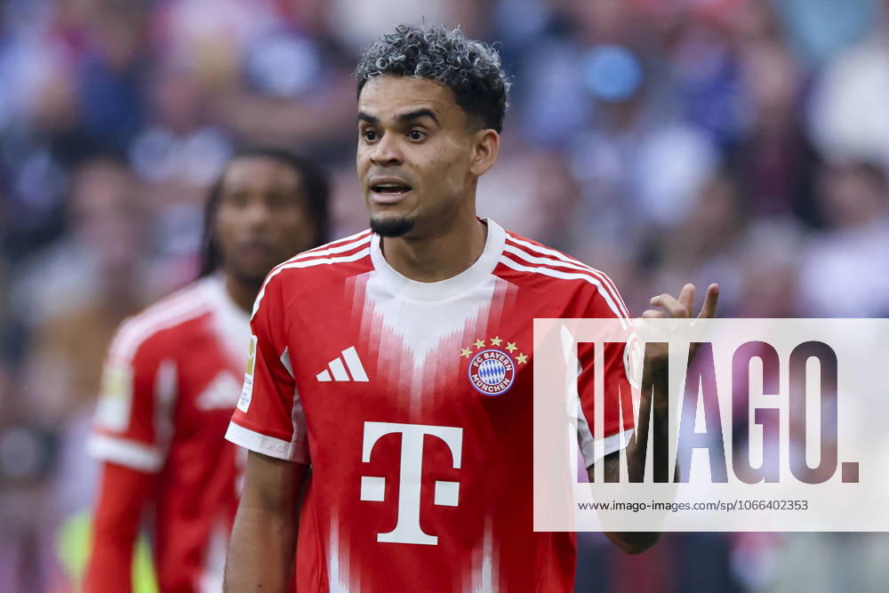 Luis Diaz (FC Bayern Muenchen) gestikuliert, Bundesliga, FC Bayern München v Hamburger SV, Allianz Arena am 13. September 2025 in München, Deutschland. (Foto von Marco Steinbrenner DeFodi Images) Luis Diaz (FC Bayern Muenchen) gestures, Bundesliga, FC Bayern München v Hamburger SV, Allianz Arena, September 13, 2025 in München, Germany. (Photo by Marco Steinbrenner DeFodi Images) DFL regulations prohibit any use of photographs as image sequences and or quasi-video.