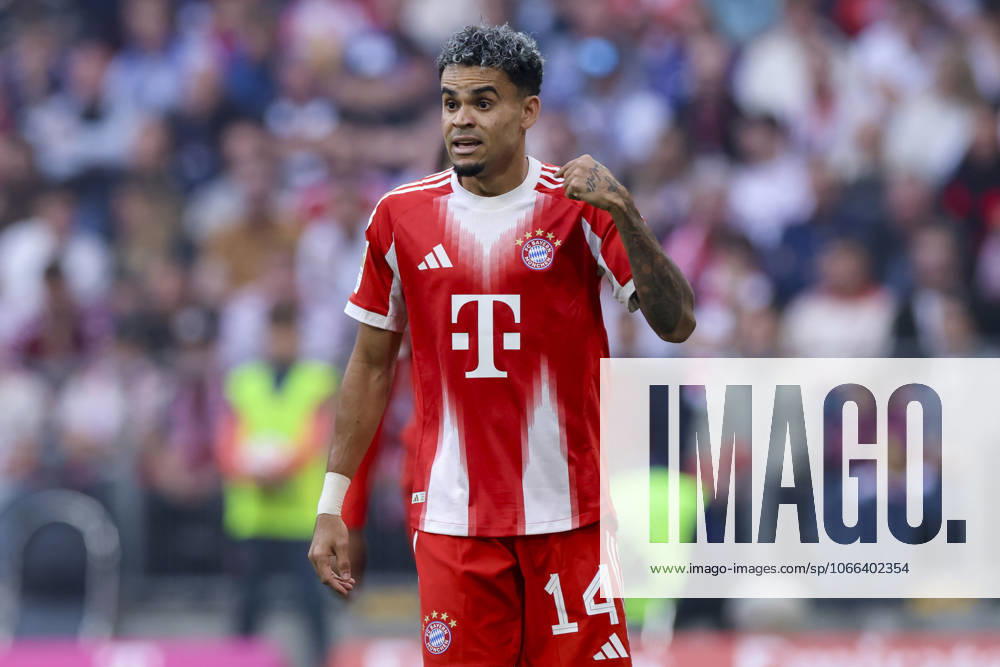 Luis Diaz (FC Bayern Muenchen) gestikuliert, Bundesliga, FC Bayern München v Hamburger SV, Allianz Arena am 13. September 2025 in München, Deutschland. (Foto von Marco Steinbrenner DeFodi Images) Luis Diaz (FC Bayern Muenchen) gestures, Bundesliga, FC Bayern München v Hamburger SV, Allianz Arena, September 13, 2025 in München, Germany. (Photo by Marco Steinbrenner DeFodi Images) DFL regulations prohibit any use of photographs as image sequences and or quasi-video.