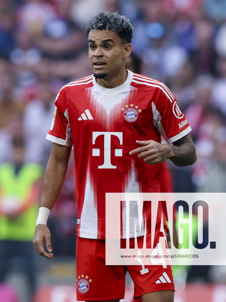 Luis Diaz (FC Bayern Muenchen) gestikuliert, Bundesliga, FC Bayern München v Hamburger SV, Allianz Arena am 13. September 2025 in München, Deutschland. (Foto von Marco Steinbrenner DeFodi Images) Luis Diaz (FC Bayern Muenchen) gestures, Bundesliga, FC Bayern München v Hamburger SV, Allianz Arena, September 13, 2025 in München, Germany. (Photo by Marco Steinbrenner DeFodi Images) DFL regulations prohibit any use of photographs as image sequences and or quasi-video.