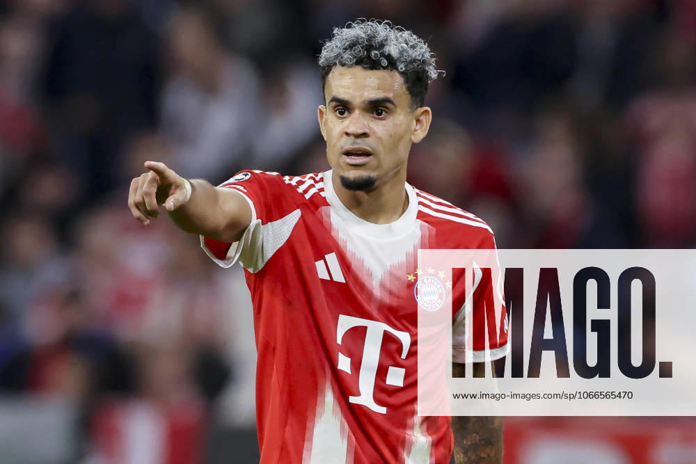 Luis Diaz (FC Bayern Muenchen) gestikuliert, UEFA Champions League 2025 26 League Phase MD1, FC Bayern München v Chelsea FC, Football Arena Munich am 17. September 2025 in München, Deutschland. (Foto von Marco Steinbrenner DeFodi Images) Luis Diaz (FC Bayern Muenchen) gestures, UEFA Champions League 2025 26 League Phase MD1, FC Bayern München v Chelsea FC, Football Arena Munich, September 17, 2025 in Munich, Germany. (Photo by Marco Steinbrenner DeFodi Images)