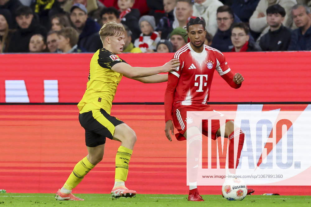 Daniel Svensson (Borussia Dortmund) und Michael Olise (FC Bayern Muenchen) kaempfen um den Ball, Bundesliga, FC Bayern München v Borussia Dortmund, Allianz Arena am 18. October 2025 in München, Deutschland. (Foto von Marco Steinbrenner DeFodi Images) Daniel Svensson (Borussia Dortmund) und Michael Olise (FC Bayern Muenchen) battle for the ball, Bundesliga, FC Bayern München v Borussia Dortmund, Allianz Arena, October 18, 2025 in München, Germany. (Photo by Marco Steinbrenner DeFodi Images) DFL regulations prohibit any use of photographs as image sequences and or quasi-video. Daniel Svensson Borussia Dortmund and Michael Olise FC Bayern Muenchen battle for the ball, Bundesliga, FC Bayern München v Borussia Dortmund, Allianz Arena, October 18, 2025 in Munich, Germany Photo by Marco Steinbrenner DeFodi Images Daniel Svensson Borussia Dortmund and Michael Olise FC Bayern Muenchen battle for the ball, Bundesliga, FC Bayern München v Borussia Dortmund, Allianz Arena, October 18, 2025 in München, Germany Photo by Marco Steinbrenner DeFodi Images DFL regulations prohibit any use of photographs as image sequences and or quasi video