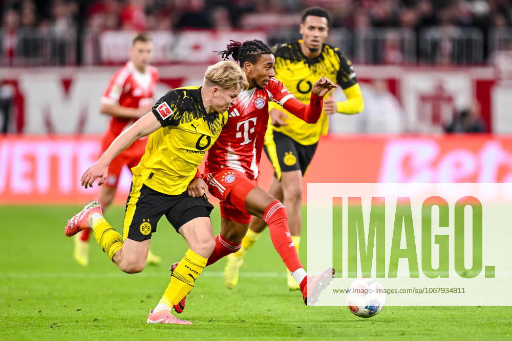 Daniel Svensson (Borussia Dortmund) und Michael Olise (Bayern München) im Zweikampf waehrend des spiels der Bundesliga zwischen FC Bayern München und Borussia Dortmund, Allianz Arena am 18. October 2025 in München, Deutschland. (Foto von Harry Langer DeFodi Images) +++ Daniel Svensson (Borussia Dortmund) und Michael Olise (Bayern München) battle for the ball during the Bundesliga match between FC Bayern München and Borussia Dortmund at Allianz Arena on October 18, 2025 in München, Germany. (Photo by Harry Langer DeFodi Images) DFL regulations prohibit any use of photographs as image sequences and or quasi-video. (Photo by Harry Langer DeFodi Images) DFL regulations prohibit any use of photographs as image sequences and or quasi-video. Daniel Svensson Borussia Dortmund and Michael Olise Bayern München in a duel during the Bundesliga match between FC Bayern München and Borussia Dortmund, Allianz Arena on October 18, 2025 in Munich, Germany Photo by Harry Langer DeFodi Images Daniel Svensson Borussia Dortmund and Michael Olise Bayern München battle for the ball during the Bundesliga match between FC Bayern München and Borussia Dortmund at Allianz Arena on October 18, 2025 in München, Germany Photo by Harry Langer DeFodi Images DFL regulations prohibit any use of photographs as image sequences and or quasi video Photo by Harry Langer DeFodi Images DFL regulations prohibit any use of photographs as image sequences and or quasi video