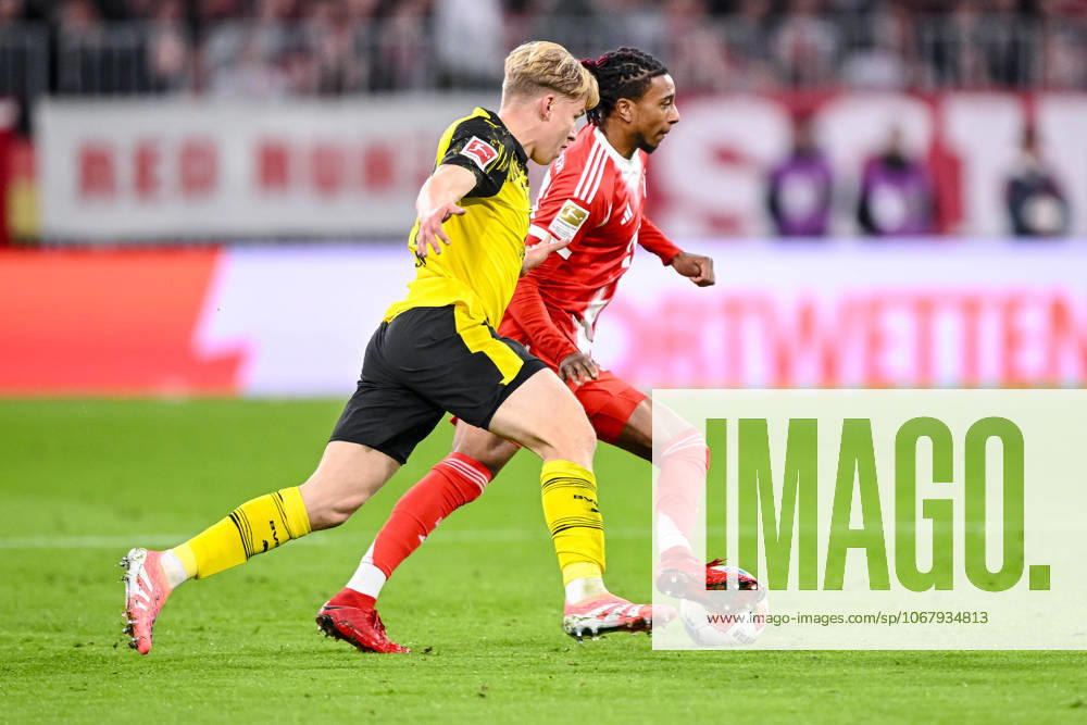 Daniel Svensson (Borussia Dortmund) und Michael Olise (Bayern München) im Zweikampf waehrend des spiels der Bundesliga zwischen FC Bayern München und Borussia Dortmund, Allianz Arena am 18. October 2025 in München, Deutschland. (Foto von Harry Langer DeFodi Images) +++ Daniel Svensson (Borussia Dortmund) und Michael Olise (Bayern München) battle for the ball during the Bundesliga match between FC Bayern München and Borussia Dortmund at Allianz Arena on October 18, 2025 in München, Germany. (Photo by Harry Langer DeFodi Images) DFL regulations prohibit any use of photographs as image sequences and or quasi-video. (Photo by Harry Langer DeFodi Images) DFL regulations prohibit any use of photographs as image sequences and or quasi-video. Daniel Svensson Borussia Dortmund and Michael Olise Bayern München in a duel during the Bundesliga match between FC Bayern München and Borussia Dortmund, Allianz Arena on October 18, 2025 in Munich, Germany Photo by Harry Langer DeFodi Images Daniel Svensson Borussia Dortmund and Michael Olise Bayern München battle for the ball during the Bundesliga match between FC Bayern München and Borussia Dortmund at Allianz Arena on October 18, 2025 in München, Germany Photo by Harry Langer DeFodi Images DFL regulations prohibit any use of photographs as image sequences and or quasi video Photo by Harry Langer DeFodi Images DFL regulations prohibit any use of photographs as image sequences and or quasi video