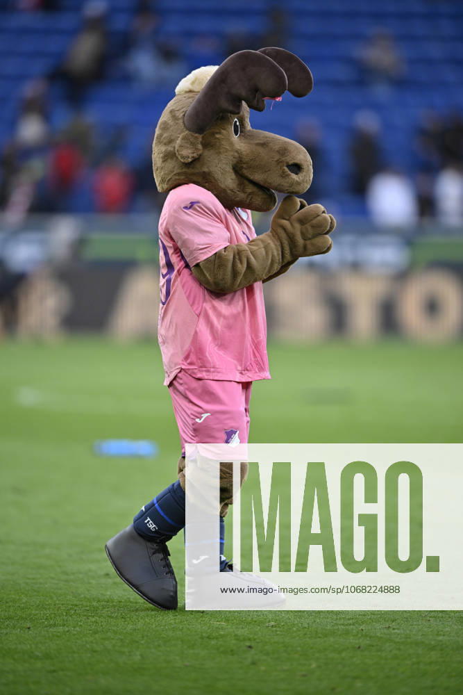 Nach Spielende: Schlussjubel, Freude, Glueck, Jubel Maskottchen Hoffie TSG 1899 Hoffenheim Pink viiolett Trikot Sondertrikot Aktion GEMEINSAM GEGEN BRUSTKREBS TSG 1899 Hoffenheim klatscht aufmunternd in die Haende, Beifall TSG 1899 Hoffenheim vs 1. FC Heidenheim 1846 FCH 25.10.2025 DFL REGULATIONS PROHIBIT ANY USE OF PHOTOGRAPHS AS IMAGE SEQUENCES AND OR QUASI-VIDEO TSG 1899 Hoffenheim vs 1. FC Heidenheim 1846 FCH