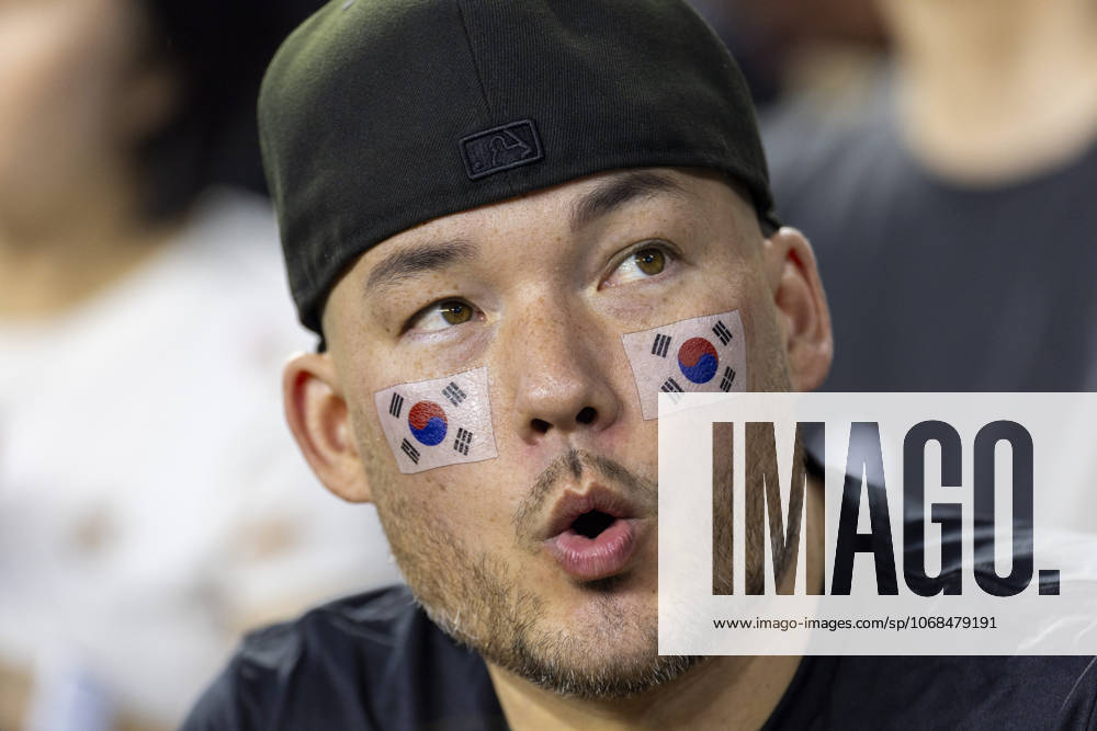 A soccer fan is seen during an MLS, Fussball Herren, USA Cup Playoffs game between the Los Angeles FC and the Austin FC, in Los Angeles Wednesday, Oct. 29, 2025. Los Angeles USA - ZUMAc68_ 20251029_zaf_c68_035