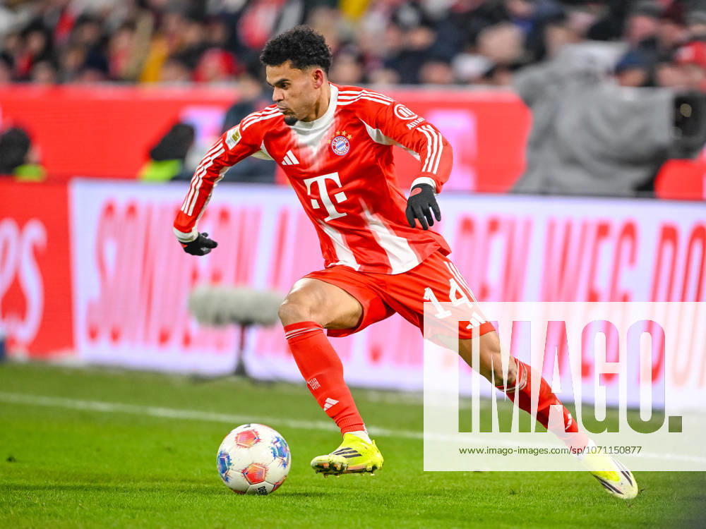 Luis Diaz (FC Bayern München) in Aktion, am Ball, Einzelaktion waehrend des spiels der Bundesliga zwischen FC Bayern München und VfL Wolfsburg, Allianz Arena am 11. January 2026 in München, Deutschland. (Foto von Harry Langer DeFodi Images) +++ Luis Diaz (FC Bayern München) controls the Ball during the Bundesliga match between FC Bayern München and VfL Wolfsburg at Allianz Arena on January 11, 2026 in München, Germany. (Photo by Harry Langer DeFodi Images) DFL regulations prohibit any use of photographs as image sequences and or quasi-video. (Photo by Harry Langer DeFodi Images) DFL regulations prohibit any use of photographs as image sequences and or quasi-video. -