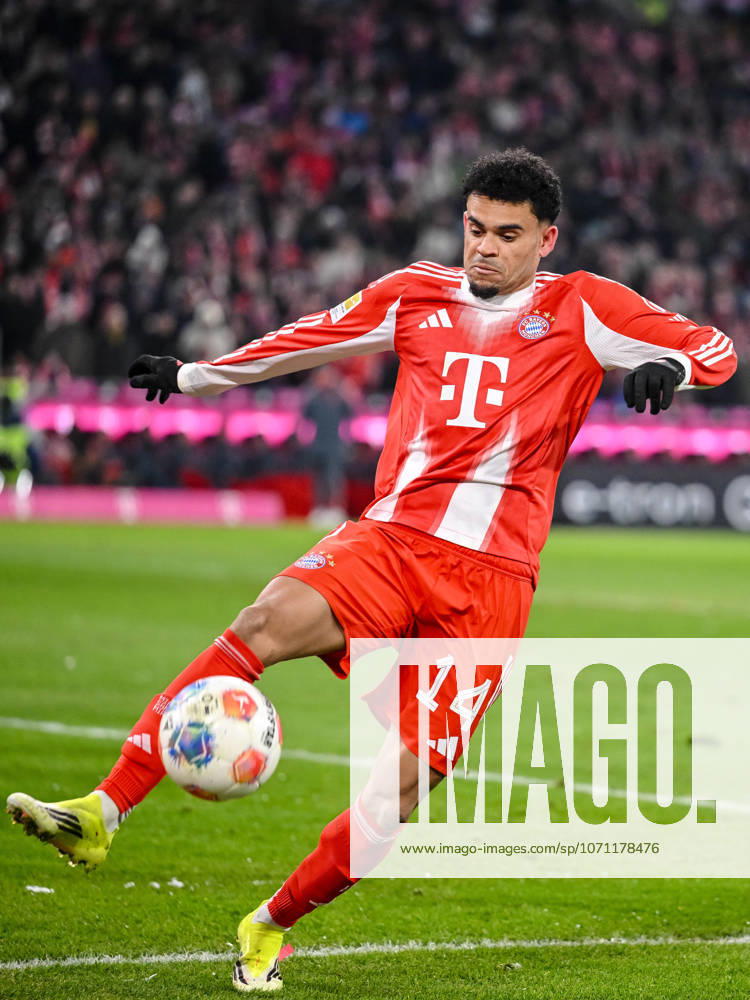 Luis Diaz (FC Bayern München) in Aktion, am Ball, Einzelaktion waehrend des spiels der Bundesliga zwischen FC Bayern München und VfL Wolfsburg, Allianz Arena am 11. January 2026 in München, Deutschland. (Foto von Harry Langer DeFodi Images) +++ Luis Diaz (FC Bayern München) controls the Ball during the Bundesliga match between FC Bayern München and VfL Wolfsburg at Allianz Arena on January 11, 2026 in München, Germany. (Photo by Harry Langer DeFodi Images) DFL regulations prohibit any use of photographs as image sequences and or quasi-video. (Photo by Harry Langer DeFodi Images) DFL regulations prohibit any use of photographs as image sequences and or quasi-video. -