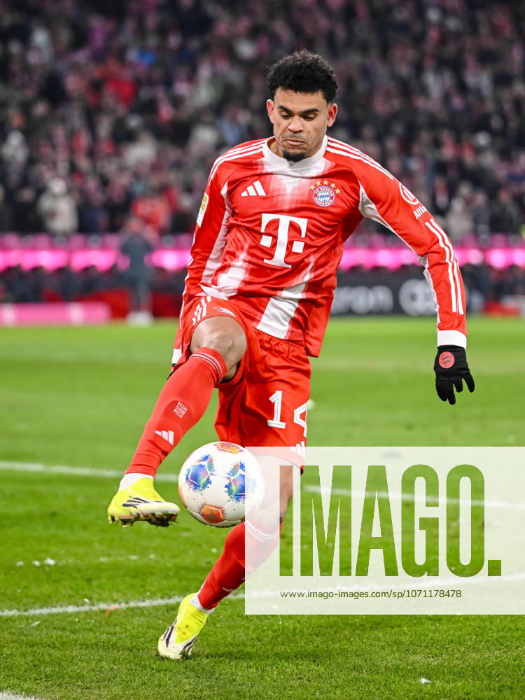 Luis Diaz (FC Bayern München) in Aktion, am Ball, Einzelaktion waehrend des spiels der Bundesliga zwischen FC Bayern München und VfL Wolfsburg, Allianz Arena am 11. January 2026 in München, Deutschland. (Foto von Harry Langer DeFodi Images) +++ Luis Diaz (FC Bayern München) controls the Ball during the Bundesliga match between FC Bayern München and VfL Wolfsburg at Allianz Arena on January 11, 2026 in München, Germany. (Photo by Harry Langer DeFodi Images) DFL regulations prohibit any use of photographs as image sequences and or quasi-video. (Photo by Harry Langer DeFodi Images) DFL regulations prohibit any use of photographs as image sequences and or quasi-video. -