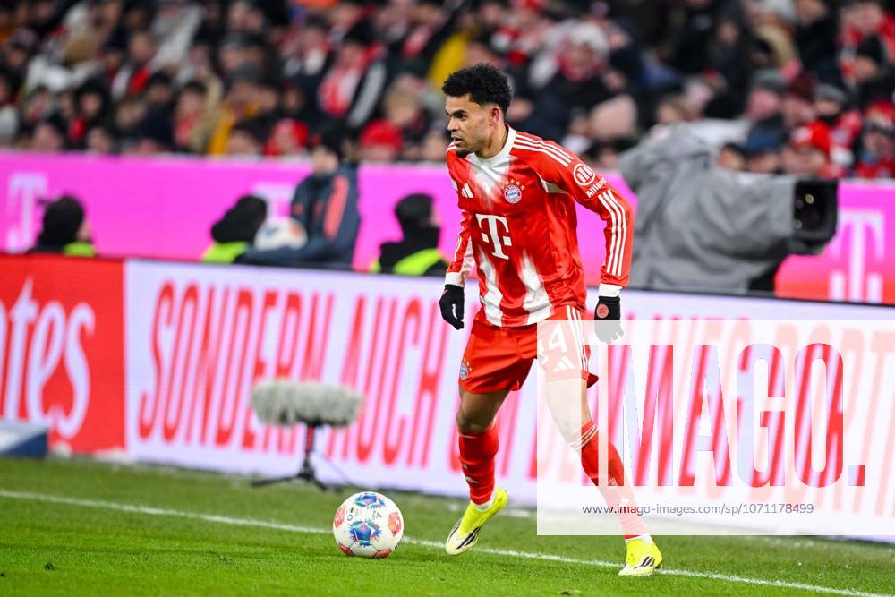 Luis Diaz (FC Bayern München) in Aktion, am Ball, Einzelaktion waehrend des spiels der Bundesliga zwischen FC Bayern München und VfL Wolfsburg, Allianz Arena am 11. January 2026 in München, Deutschland. (Foto von Harry Langer DeFodi Images) +++ Luis Diaz (FC Bayern München) controls the Ball during the Bundesliga match between FC Bayern München and VfL Wolfsburg at Allianz Arena on January 11, 2026 in München, Germany. (Photo by Harry Langer DeFodi Images) DFL regulations prohibit any use of photographs as image sequences and or quasi-video. (Photo by Harry Langer DeFodi Images) DFL regulations prohibit any use of photographs as image sequences and or quasi-video. -