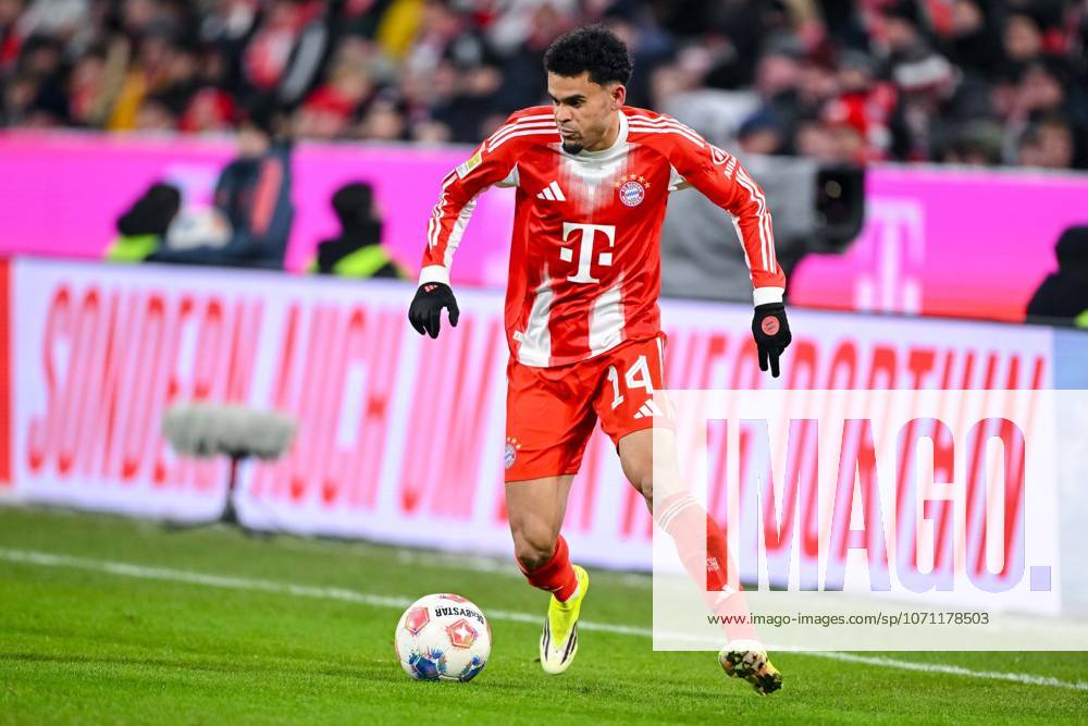Luis Diaz (FC Bayern München) in Aktion, am Ball, Einzelaktion waehrend des spiels der Bundesliga zwischen FC Bayern München und VfL Wolfsburg, Allianz Arena am 11. January 2026 in München, Deutschland. (Foto von Harry Langer DeFodi Images) +++ Luis Diaz (FC Bayern München) controls the Ball during the Bundesliga match between FC Bayern München and VfL Wolfsburg at Allianz Arena on January 11, 2026 in München, Germany. (Photo by Harry Langer DeFodi Images) DFL regulations prohibit any use of photographs as image sequences and or quasi-video. (Photo by Harry Langer DeFodi Images) DFL regulations prohibit any use of photographs as image sequences and or quasi-video. -