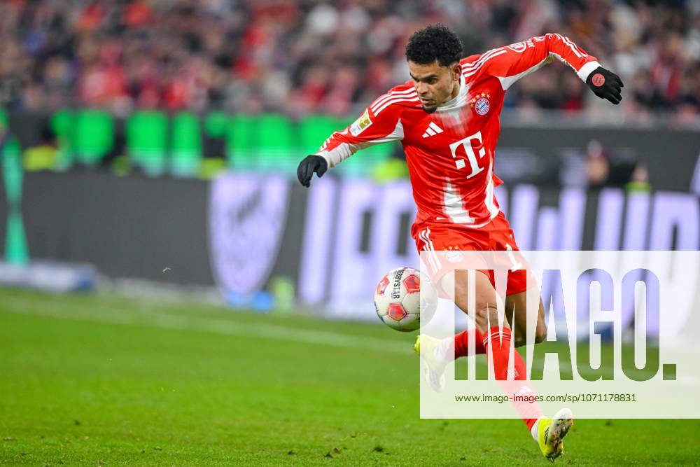 Luis Diaz (FC Bayern München) in Aktion, am Ball, Einzelaktion waehrend des spiels der Bundesliga zwischen FC Bayern München und VfL Wolfsburg, Allianz Arena am 11. January 2026 in München, Deutschland. (Foto von Harry Langer DeFodi Images) +++ Luis Diaz (FC Bayern München) controls the Ball during the Bundesliga match between FC Bayern München and VfL Wolfsburg at Allianz Arena on January 11, 2026 in München, Germany. (Photo by Harry Langer DeFodi Images) DFL regulations prohibit any use of photographs as image sequences and or quasi-video. (Photo by Harry Langer DeFodi Images) DFL regulations prohibit any use of photographs as image sequences and or quasi-video. -