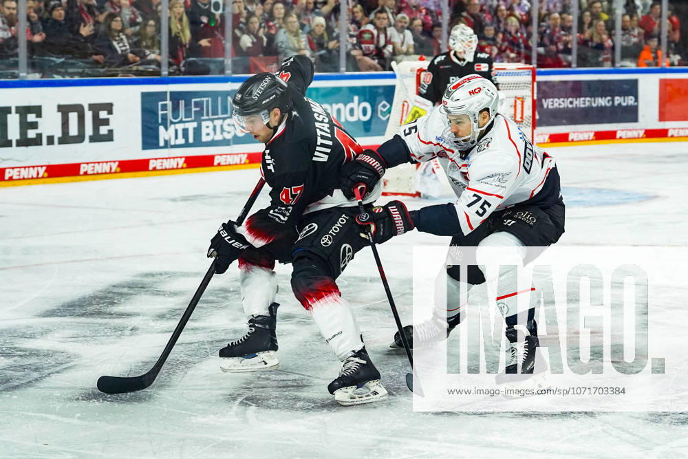 Eishockey Penny-DEL 43. Spieltag Kölner Haie - Nürnberg Ice Tigers am 25.01.2026 in der Lanxess Arena in Köln Veli-Matti Vittasmäki ( Köln ), links - Samuel Dove-McFalls ( Nürnberg ), rechts Gemäß den Vorgaben der DEL Deutsche Eishockey Liga ist die Publikation und Weiterverwertung der Aufnahmen in elektronischen Medien und Endgeräten aller Art während des laufenden Spiels nicht zulässig.