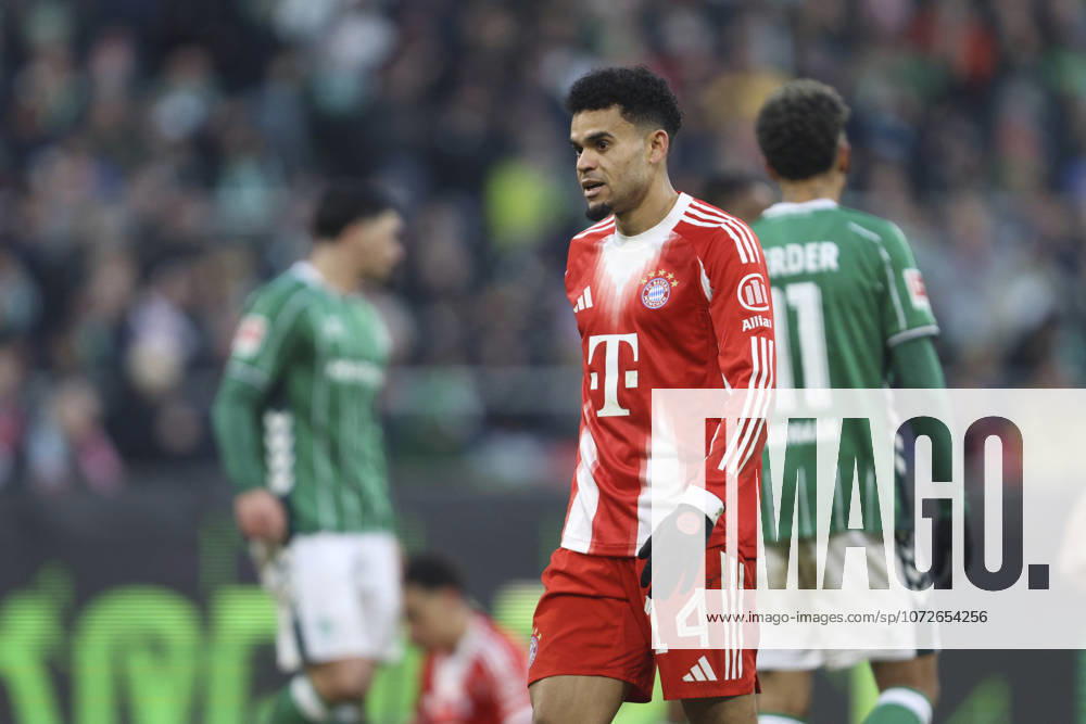 Luis Diaz (FC Bayern München) schaut waehrend des Spiels der Bundesliga zwischen SV Werder Bremen und FC Bayern München, Weserstadion am 14. February 2026 in Bremen, Deutschland. (Foto von Oliver Kaelke DeFodi Images) +++ Luis Diaz (FC Bayern München) looks on during the Bundesliga match between SV Werder Bremen and FC Bayern München at Weserstadion on February 14, 2026 in Bremen, Germany. (Photo by Oliver Kaelke DeFodi Images) DFL regulations prohibit any use of photographs as image sequences and or quasi-video. (Photo by Oliver Kaelke DeFodi Images) -