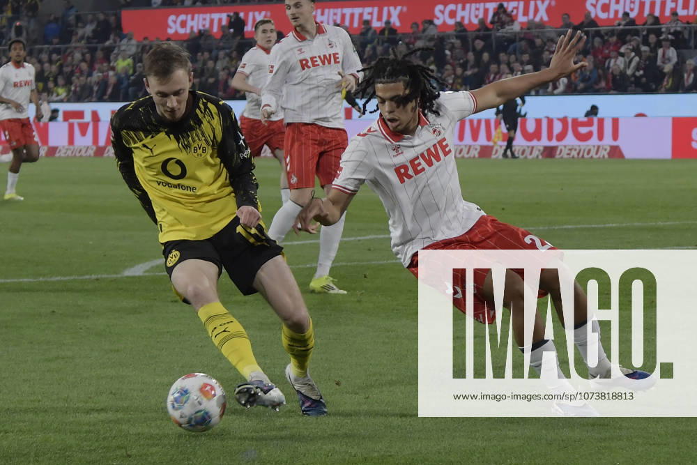 V. li. im Zweikampf Maximilian Beier (Dortmund 14) Jahmai Simpson-Pusey (Koeln 22) 07.03.2026¢ Fussball ¢ 1. FC Koeln vs Borussia Dortmund , Rheinenergiestadion, Koeln, DFB DFL REGULATIONS PROHIBIT ANY USE OF PHOTOGRAPHS AS IMAGE SEQUENCES AND OR QUASI-VIDEO