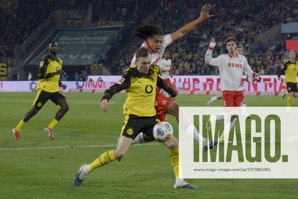V. li. im Zweikampf Maximilian Beier (Dortmund 14) Jahmai Simpson-Pusey (Koeln 22) 07.03.2026¢ Fussball ¢ 1. FC Koeln vs Borussia Dortmund , Rheinenergiestadion, Koeln, DFB DFL REGULATIONS PROHIBIT ANY USE OF PHOTOGRAPHS AS IMAGE SEQUENCES AND OR QUASI-VIDEO