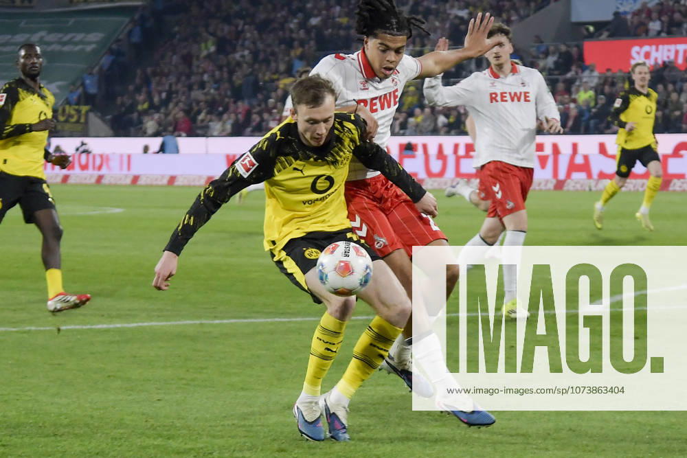 V. li. im Zweikampf Maximilian Beier (Dortmund 14) Jahmai Simpson-Pusey (Koeln 22) 07.03.2026¢ Fussball ¢ 1. FC Koeln vs Borussia Dortmund , Rheinenergiestadion, Koeln, DFB DFL REGULATIONS PROHIBIT ANY USE OF PHOTOGRAPHS AS IMAGE SEQUENCES AND OR QUASI-VIDEO