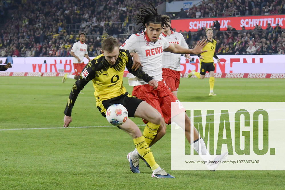 V. li. im Zweikampf Maximilian Beier (Dortmund 14) Jahmai Simpson-Pusey (Koeln 22) 07.03.2026¢ Fussball ¢ 1. FC Koeln vs Borussia Dortmund , Rheinenergiestadion, Koeln, DFB DFL REGULATIONS PROHIBIT ANY USE OF PHOTOGRAPHS AS IMAGE SEQUENCES AND OR QUASI-VIDEO