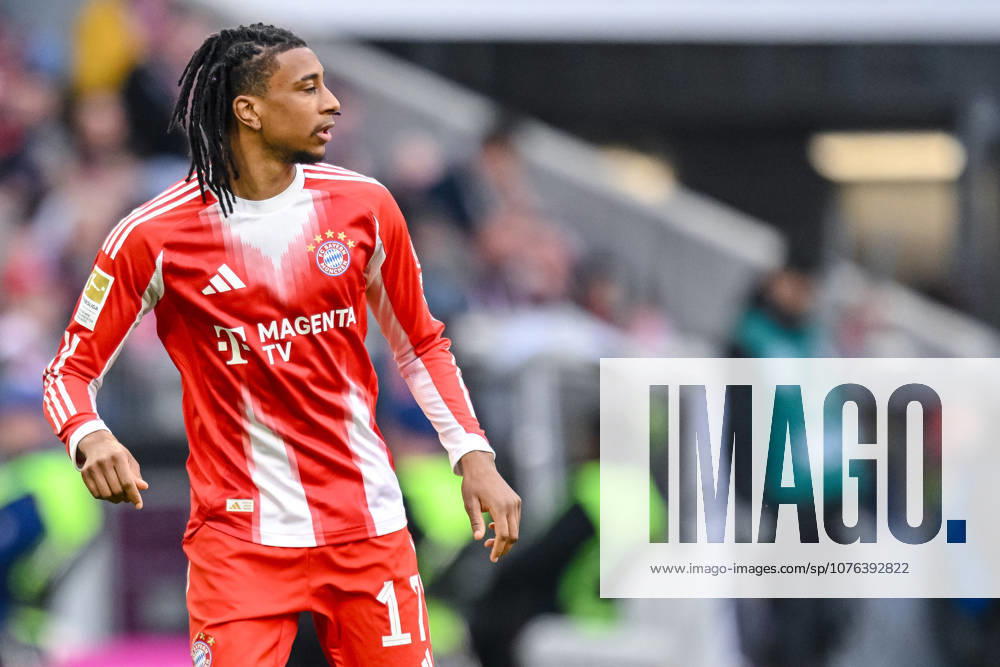 Michael Olise (FC Bayern München) Schaut waehrend des spiels der Bundesliga zwischen FC Bayern München und VfB Stuttgart, Allianz Arena am 19. April 2026 in München, Deutschland. (Foto von Harry Langer DeFodi Images) +++ Michael Olise (FC Bayern München) Looks on during the Bundesliga match between FC Bayern München and VfB Stuttgart at Allianz Arena on April 19, 2026 in München, Germany. (Photo by Harry Langer DeFodi Images) DFL regulations prohibit any use of photographs as image sequences and or quasi-video. (Photo by Harry Langer DeFodi Images) DFL regulations prohibit any use of photographs as image sequences and or quasi-video. -