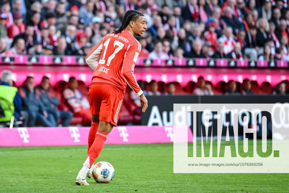 Michael Olise (FC Bayern München) in Aktion, am Ball, Einzelaktion waehrend des spiels der Bundesliga zwischen FC Bayern München und VfB Stuttgart, Allianz Arena am 19. April 2026 in München, Deutschland. (Foto von Harry Langer DeFodi Images) +++ Michael Olise (FC Bayern München) controls the Ball during the Bundesliga match between FC Bayern München and VfB Stuttgart at Allianz Arena on April 19, 2026 in München, Germany. (Photo by Harry Langer DeFodi Images) DFL regulations prohibit any use of photographs as image sequences and or quasi-video. (Photo by Harry Langer DeFodi Images) DFL regulations prohibit any use of photographs as image sequences and or quasi-video. -