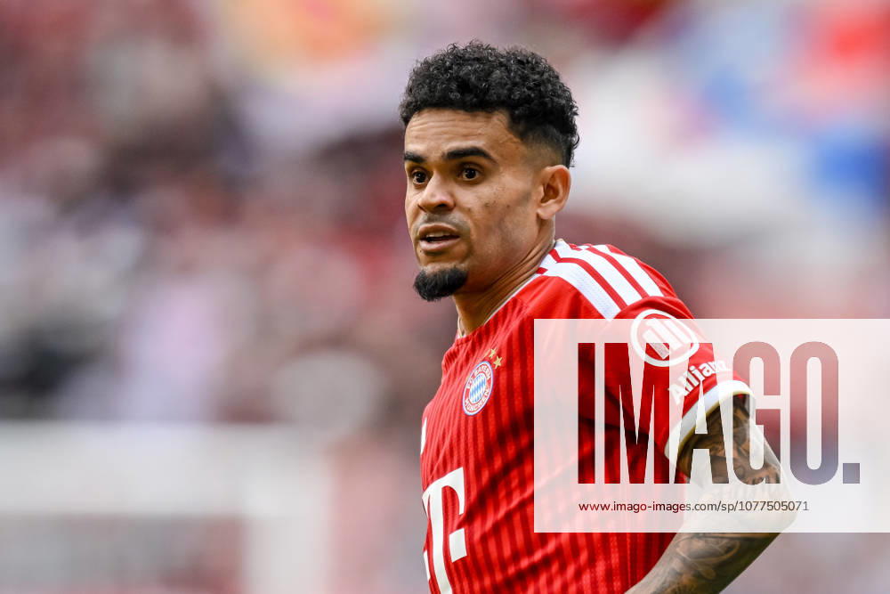 Luis Diaz (FC Bayern München) Schaut waehrend des spiels der Bundesliga zwischen FC Bayern München und 1. FC Köln, Allianz Arena am 16. May 2026 in München, Deutschland. (Foto von Harry Langer DeFodi Images) +++ Luis Diaz (FC Bayern München) Looks on during the Bundesliga match between FC Bayern München and 1. FC Köln at Allianz Arena on May 16, 2026 in München, Germany. (Photo by Harry Langer DeFodi Images) DFL regulations prohibit any use of photographs as image sequences and or quasi-video. (Photo by Harry Langer DeFodi Images) DFL regulations prohibit any use of photographs as image sequences and or quasi-video. -