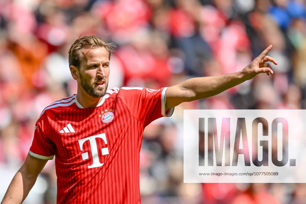 Harry Kane (FC Bayern München) gestikuliert, gestik waehrend des spiels der Bundesliga zwischen FC Bayern München und 1. FC Köln, Allianz Arena am 16. May 2026 in München, Deutschland. (Foto von Harry Langer DeFodi Images) +++ Harry Kane (FC Bayern München) gestures during the Bundesliga match between FC Bayern München and 1. FC Köln at Allianz Arena on May 16, 2026 in München, Germany. (Photo by Harry Langer DeFodi Images) DFL regulations prohibit any use of photographs as image sequences and or quasi-video. (Photo by Harry Langer DeFodi Images) DFL regulations prohibit any use of photographs as image sequences and or quasi-video. -