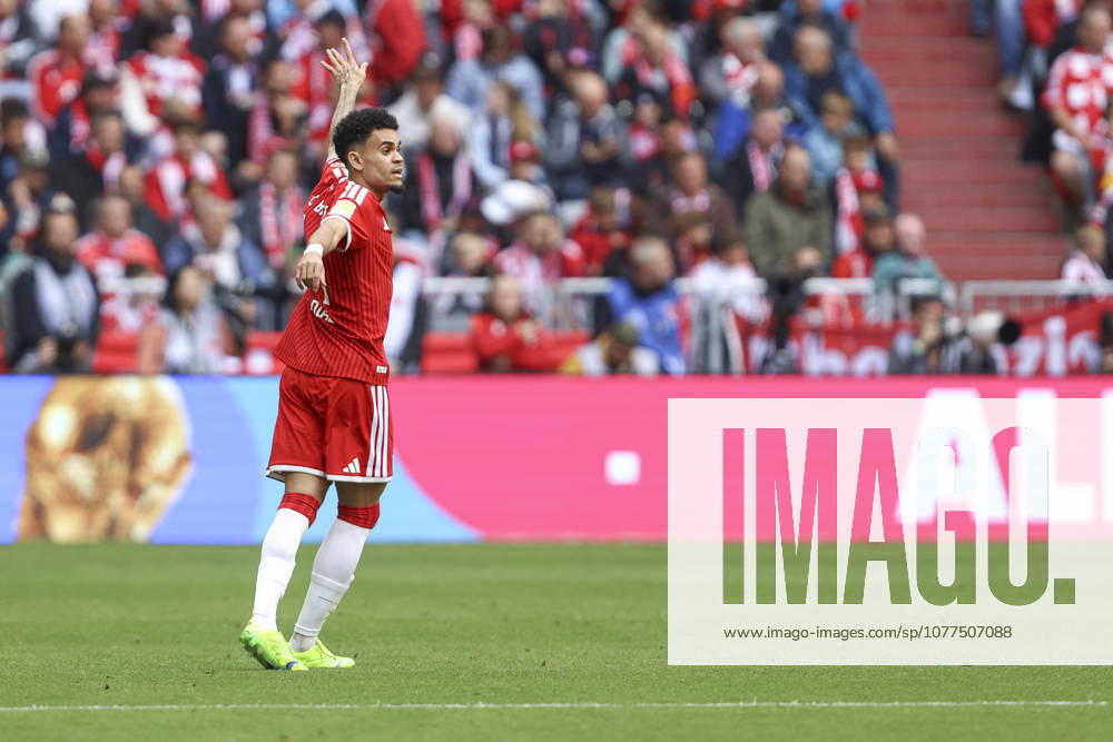 Luis Diaz (FC Bayern München) gestikuliert, Gestik waehrend des Spiels der Bundesliga zwischen FC Bayern München und 1. FC Köln, Allianz Arena am 16. May 2026 in München, Deutschland. (Foto von Oliver Kaelke DeFodi Images) +++ Luis Diaz (FC Bayern München) gestures during the Bundesliga match between FC Bayern München and 1. FC Köln at Allianz Arena on May 16, 2026 in München, Germany. (Photo by Oliver Kaelke DeFodi Images) DFL regulations prohibit any use of photographs as image sequences and or quasi-video. (Photo by Oliver Kaelke DeFodi Images) -