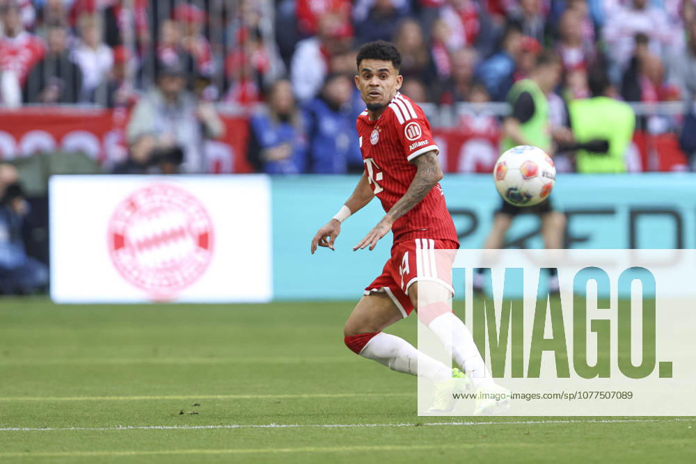 Luis Diaz (FC Bayern München) schaut waehrend des Spiels der Bundesliga zwischen FC Bayern München und 1. FC Köln, Allianz Arena am 16. May 2026 in München, Deutschland. (Foto von Oliver Kaelke DeFodi Images) +++ Luis Diaz (FC Bayern München) looks on during the Bundesliga match between FC Bayern München and 1. FC Köln at Allianz Arena on May 16, 2026 in München, Germany. (Photo by Oliver Kaelke DeFodi Images) DFL regulations prohibit any use of photographs as image sequences and or quasi-video. (Photo by Oliver Kaelke DeFodi Images) -