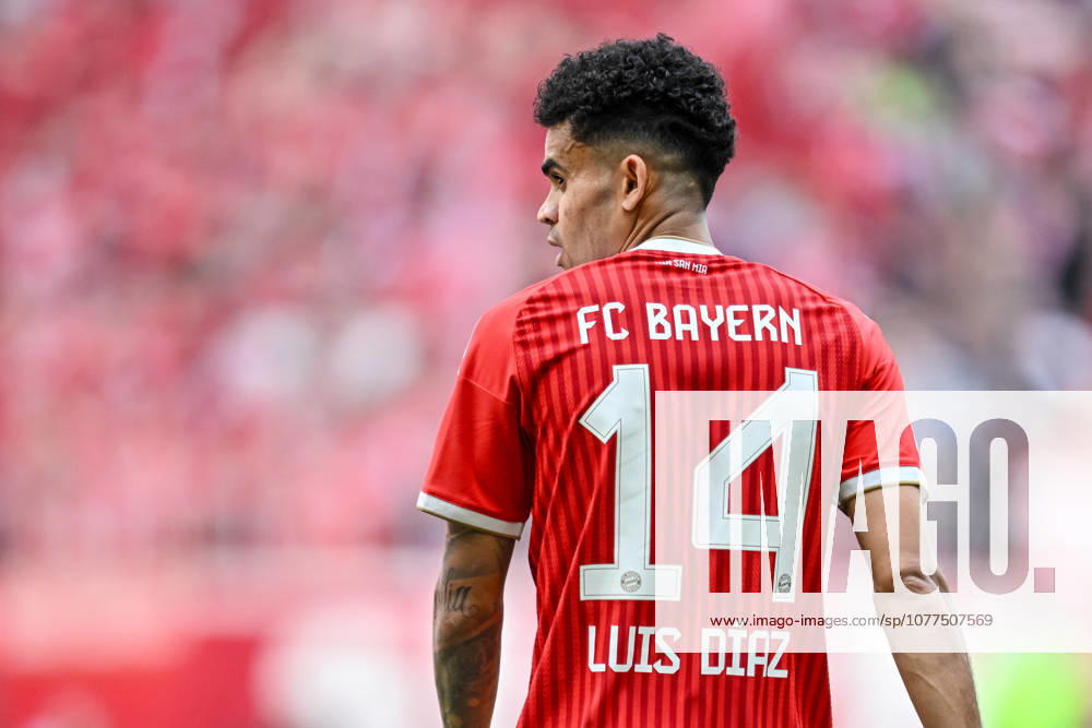 Luis Diaz (FC Bayern München) Schaut waehrend des spiels der Bundesliga zwischen FC Bayern München und 1. FC Köln, Allianz Arena am 16. May 2026 in München, Deutschland. (Foto von Harry Langer DeFodi Images) +++ Luis Diaz (FC Bayern München) Looks on during the Bundesliga match between FC Bayern München and 1. FC Köln at Allianz Arena on May 16, 2026 in München, Germany. (Photo by Harry Langer DeFodi Images) DFL regulations prohibit any use of photographs as image sequences and or quasi-video. (Photo by Harry Langer DeFodi Images) DFL regulations prohibit any use of photographs as image sequences and or quasi-video. -