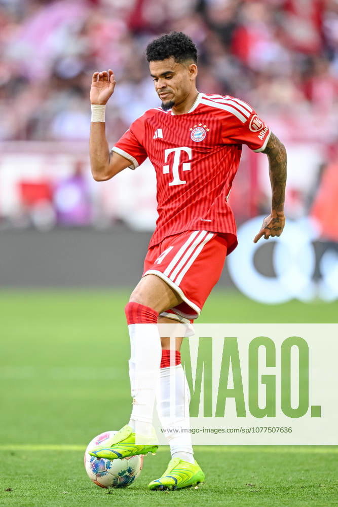 Luis Diaz (FC Bayern München) in Aktion, am Ball, Einzelaktion waehrend des spiels der Bundesliga zwischen FC Bayern München und 1. FC Köln, Allianz Arena am 16. May 2026 in München, Deutschland. (Foto von Harry Langer DeFodi Images) +++ Luis Diaz (FC Bayern München) controls the Ball during the Bundesliga match between FC Bayern München and 1. FC Köln at Allianz Arena on May 16, 2026 in München, Germany. (Photo by Harry Langer DeFodi Images) DFL regulations prohibit any use of photographs as image sequences and or quasi-video. (Photo by Harry Langer DeFodi Images) DFL regulations prohibit any use of photographs as image sequences and or quasi-video. -