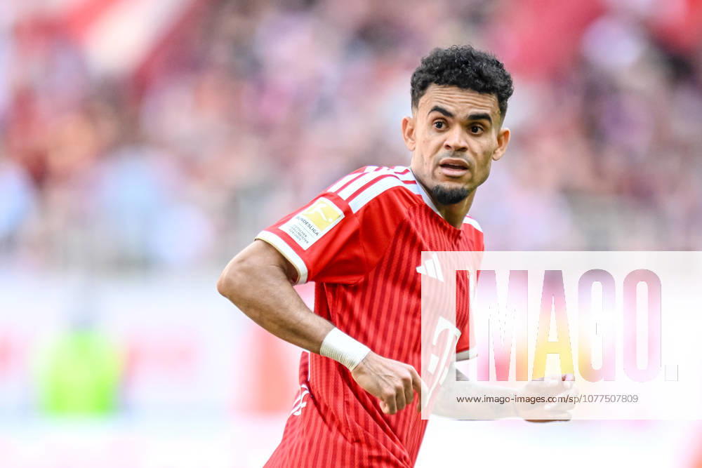 Luis Diaz (FC Bayern München) Schaut waehrend des spiels der Bundesliga zwischen FC Bayern München und 1. FC Köln, Allianz Arena am 16. May 2026 in München, Deutschland. (Foto von Harry Langer DeFodi Images) +++ Luis Diaz (FC Bayern München) Looks on during the Bundesliga match between FC Bayern München and 1. FC Köln at Allianz Arena on May 16, 2026 in München, Germany. (Photo by Harry Langer DeFodi Images) DFL regulations prohibit any use of photographs as image sequences and or quasi-video. (Photo by Harry Langer DeFodi Images) DFL regulations prohibit any use of photographs as image sequences and or quasi-video. -