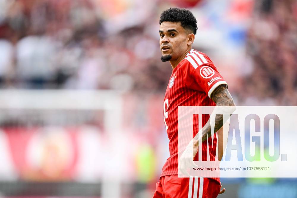 Luis Diaz (FC Bayern München) Schaut waehrend des spiels der Bundesliga zwischen FC Bayern München und 1. FC Köln, Allianz Arena am 16. May 2026 in München, Deutschland. (Foto von Harry Langer DeFodi Images) +++ Luis Diaz (FC Bayern München) Looks on during the Bundesliga match between FC Bayern München and 1. FC Köln at Allianz Arena on May 16, 2026 in München, Germany. (Photo by Harry Langer DeFodi Images) DFL regulations prohibit any use of photographs as image sequences and or quasi-video. (Photo by Harry Langer DeFodi Images) DFL regulations prohibit any use of photographs as image sequences and or quasi-video. -