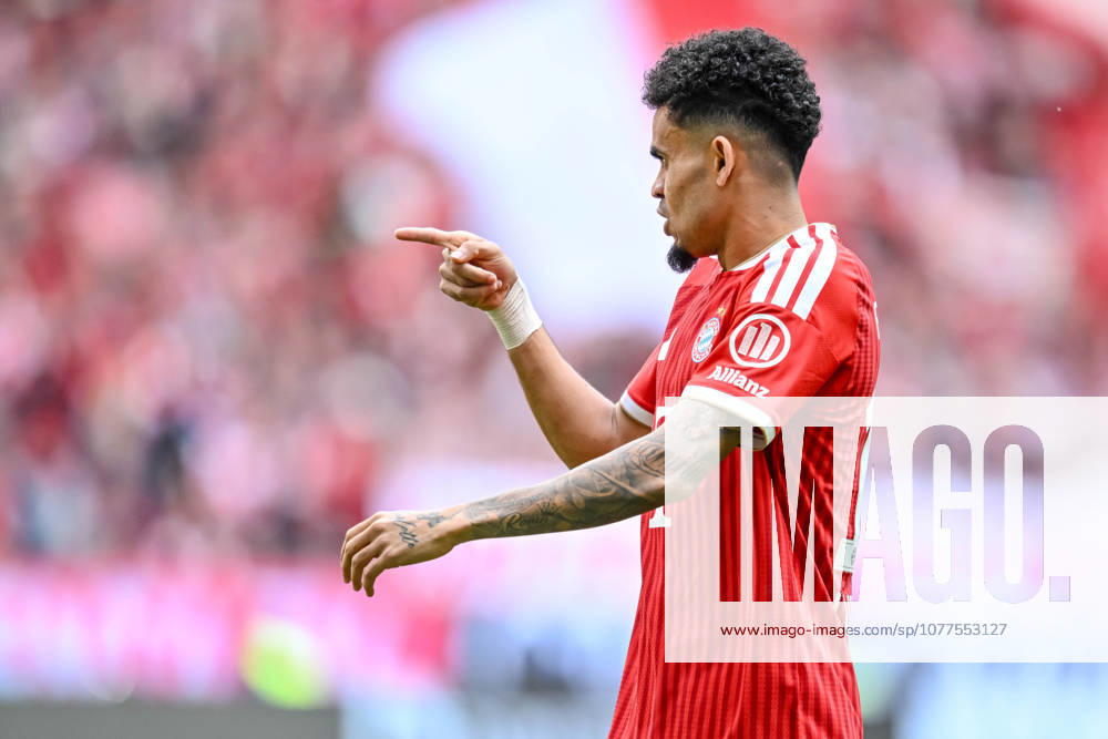 Luis Diaz (FC Bayern München) gestikuliert, gestik waehrend des spiels der Bundesliga zwischen FC Bayern München und 1. FC Köln, Allianz Arena am 16. May 2026 in München, Deutschland. (Foto von Harry Langer DeFodi Images) +++ Luis Diaz (FC Bayern München) gestures during the Bundesliga match between FC Bayern München and 1. FC Köln at Allianz Arena on May 16, 2026 in München, Germany. (Photo by Harry Langer DeFodi Images) DFL regulations prohibit any use of photographs as image sequences and or quasi-video. (Photo by Harry Langer DeFodi Images) DFL regulations prohibit any use of photographs as image sequences and or quasi-video. -