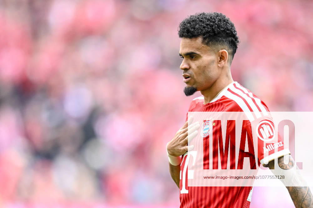 Luis Diaz (FC Bayern München) Schaut waehrend des spiels der Bundesliga zwischen FC Bayern München und 1. FC Köln, Allianz Arena am 16. May 2026 in München, Deutschland. (Foto von Harry Langer DeFodi Images) +++ Luis Diaz (FC Bayern München) Looks on during the Bundesliga match between FC Bayern München and 1. FC Köln at Allianz Arena on May 16, 2026 in München, Germany. (Photo by Harry Langer DeFodi Images) DFL regulations prohibit any use of photographs as image sequences and or quasi-video. (Photo by Harry Langer DeFodi Images) DFL regulations prohibit any use of photographs as image sequences and or quasi-video. -