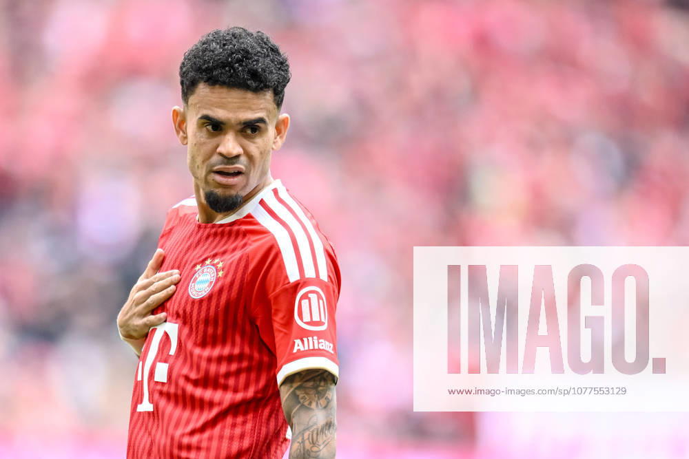 Luis Diaz (FC Bayern München) Schaut waehrend des spiels der Bundesliga zwischen FC Bayern München und 1. FC Köln, Allianz Arena am 16. May 2026 in München, Deutschland. (Foto von Harry Langer DeFodi Images) +++ Luis Diaz (FC Bayern München) Looks on during the Bundesliga match between FC Bayern München and 1. FC Köln at Allianz Arena on May 16, 2026 in München, Germany. (Photo by Harry Langer DeFodi Images) DFL regulations prohibit any use of photographs as image sequences and or quasi-video. (Photo by Harry Langer DeFodi Images) DFL regulations prohibit any use of photographs as image sequences and or quasi-video. -