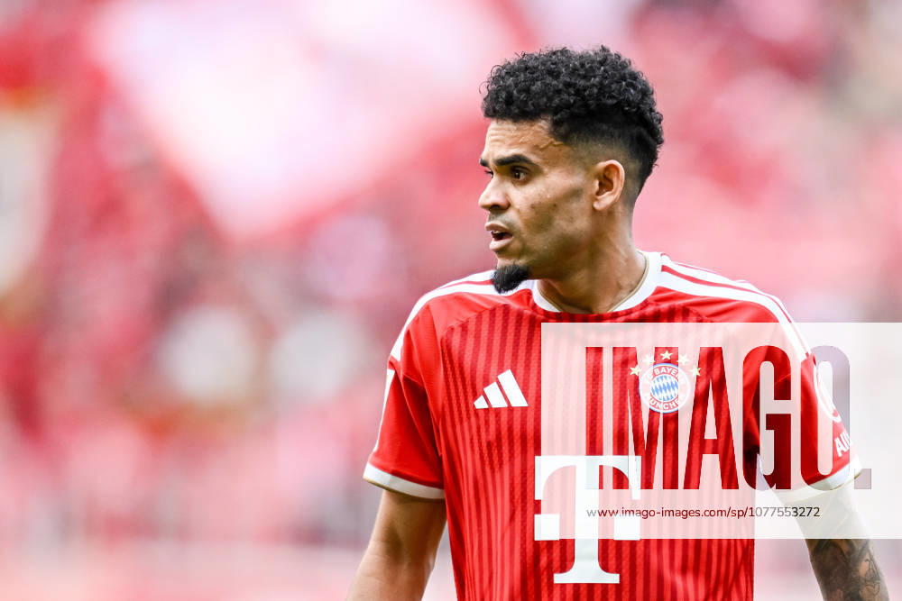 Luis Diaz (FC Bayern München) Schaut waehrend des spiels der Bundesliga zwischen FC Bayern München und 1. FC Köln, Allianz Arena am 16. May 2026 in München, Deutschland. (Foto von Harry Langer DeFodi Images) +++ Luis Diaz (FC Bayern München) Looks on during the Bundesliga match between FC Bayern München and 1. FC Köln at Allianz Arena on May 16, 2026 in München, Germany. (Photo by Harry Langer DeFodi Images) DFL regulations prohibit any use of photographs as image sequences and or quasi-video. (Photo by Harry Langer DeFodi Images) DFL regulations prohibit any use of photographs as image sequences and or quasi-video. -