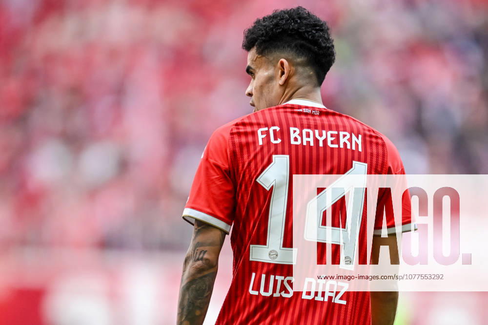 Luis Diaz (FC Bayern München) Schaut waehrend des spiels der Bundesliga zwischen FC Bayern München und 1. FC Köln, Allianz Arena am 16. May 2026 in München, Deutschland. (Foto von Harry Langer DeFodi Images) +++ Luis Diaz (FC Bayern München) Looks on during the Bundesliga match between FC Bayern München and 1. FC Köln at Allianz Arena on May 16, 2026 in München, Germany. (Photo by Harry Langer DeFodi Images) DFL regulations prohibit any use of photographs as image sequences and or quasi-video. (Photo by Harry Langer DeFodi Images) DFL regulations prohibit any use of photographs as image sequences and or quasi-video. -