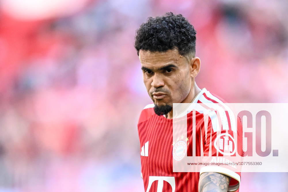 Luis Diaz (FC Bayern München) Schaut waehrend des spiels der Bundesliga zwischen FC Bayern München und 1. FC Köln, Allianz Arena am 16. May 2026 in München, Deutschland. (Foto von Harry Langer DeFodi Images) +++ Luis Diaz (FC Bayern München) Looks on during the Bundesliga match between FC Bayern München and 1. FC Köln at Allianz Arena on May 16, 2026 in München, Germany. (Photo by Harry Langer DeFodi Images) DFL regulations prohibit any use of photographs as image sequences and or quasi-video. (Photo by Harry Langer DeFodi Images) DFL regulations prohibit any use of photographs as image sequences and or quasi-video. -