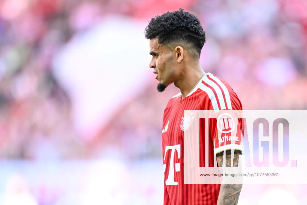 Luis Diaz (FC Bayern München) Schaut waehrend des spiels der Bundesliga zwischen FC Bayern München und 1. FC Köln, Allianz Arena am 16. May 2026 in München, Deutschland. (Foto von Harry Langer DeFodi Images) +++ Luis Diaz (FC Bayern München) Looks on during the Bundesliga match between FC Bayern München and 1. FC Köln at Allianz Arena on May 16, 2026 in München, Germany. (Photo by Harry Langer DeFodi Images) DFL regulations prohibit any use of photographs as image sequences and or quasi-video. (Photo by Harry Langer DeFodi Images) DFL regulations prohibit any use of photographs as image sequences and or quasi-video. -