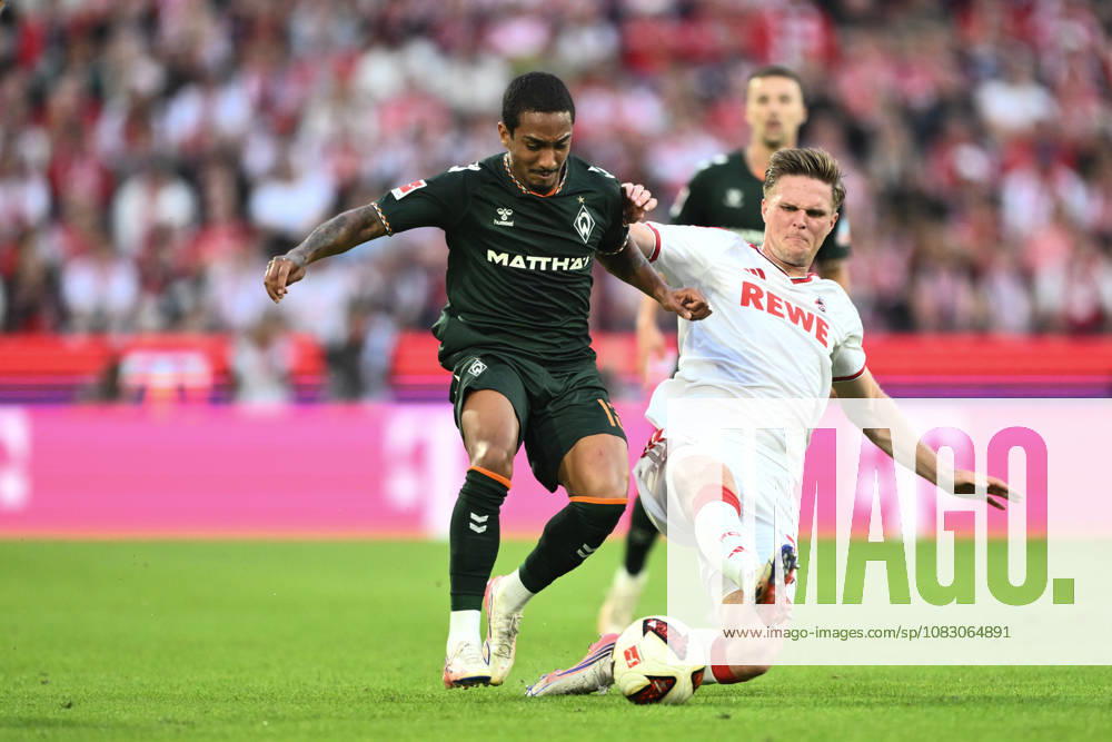 GER, Fussball, Herren, 1. Bundesliga, Saison 2026 2027, 3. Spieltag, 1. FC Köln vs. SV Werder Bremen Arthur ( Werder Bremen, 13 ) im Zweikampf mit Marius Bülter ( FC Köln, 30 ), DFB DFL regulations prohibit any use of photographs as image sequences and or quasi-video Köln Rhein-Energie Stadion NRW Deutschland