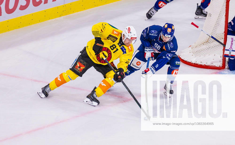 Ice hockey, Eishockey National League Regular Season - ZSC Lions vs. SC Ber Zurich, Switzerland, 15th Sep 2026: Duel between 81 Rodrigo Abols (Bern) and 56 Tim Berni (ZSC Lions).