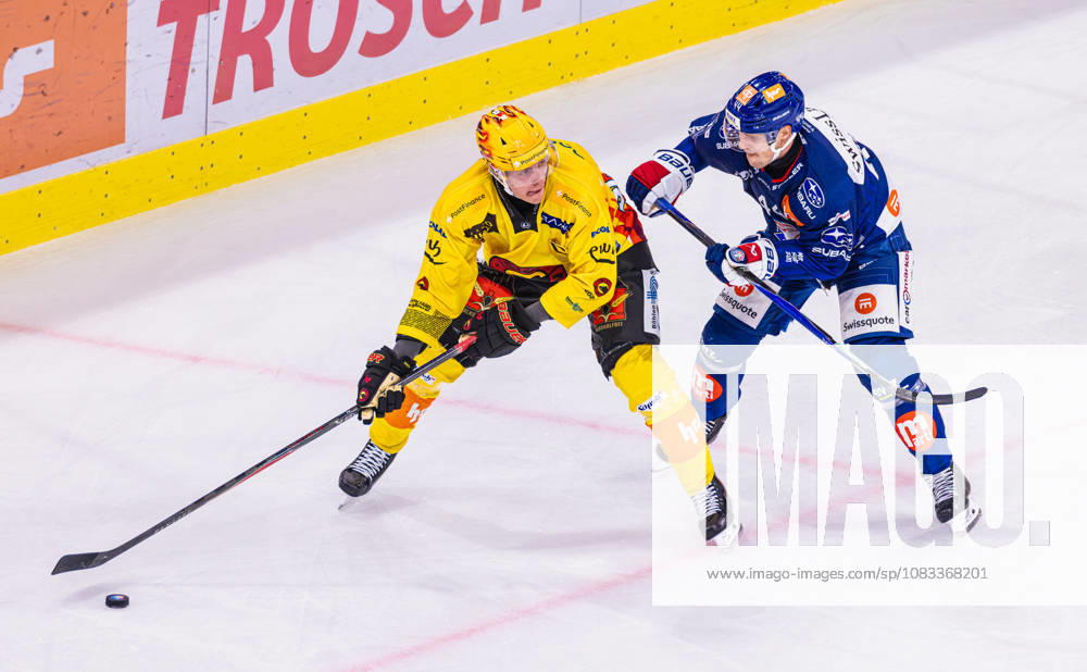 Ice hockey, Eishockey National League Regular Season - ZSC Lions vs. SC Ber Zurich, Switzerland, 15th Sep 2026: Top scorer Waltteri Merelä (Bern) covers the puck in a duel against 44 Mikko Lehtonen (ZSC Lions).